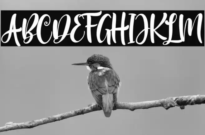 MelodyChristmas Font examples