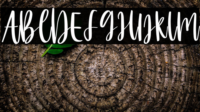 MelodySantiago-Regular Example 2