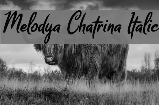 Melodya Chatrina Italic Font examples