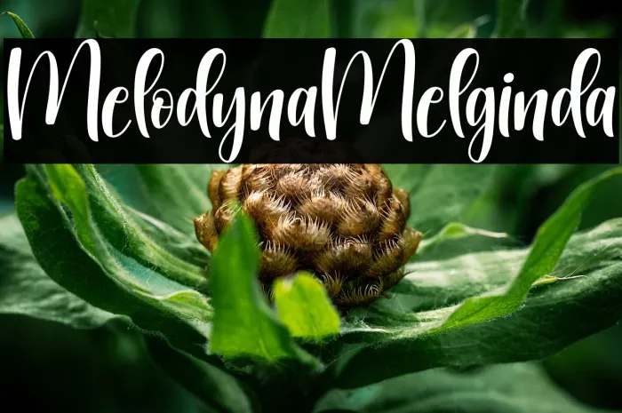 Melodyna Melginda Example 1