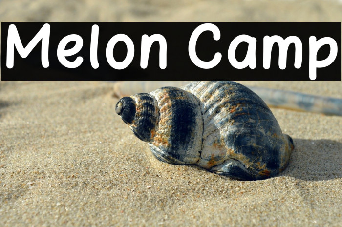 Melon Camp Example 1