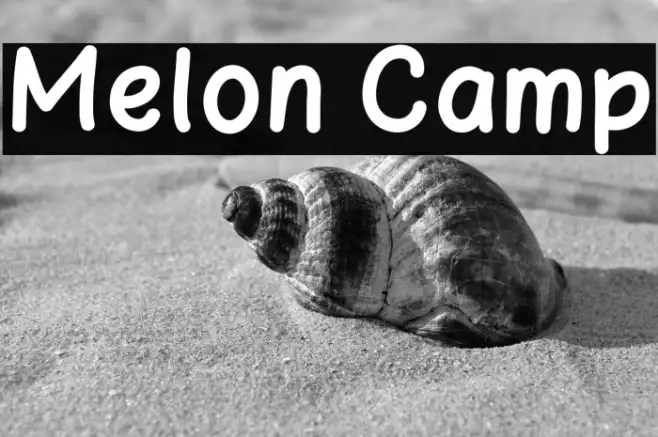 Melon Camp Example 1
