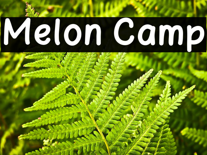 Melon Camp Example 3