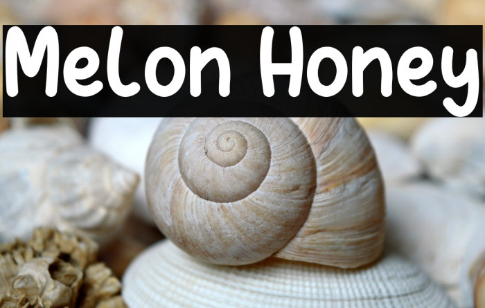 Melon Honey Example 3