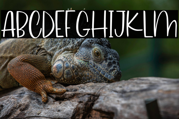 Melon Kundang Example 3