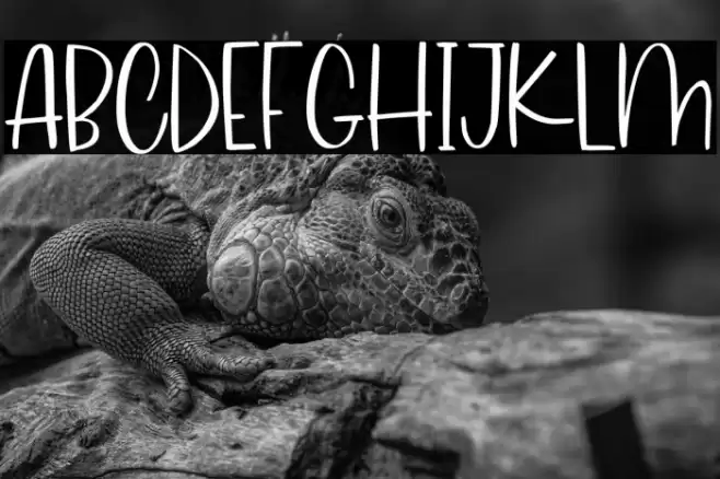 Melon Kundang Font examples