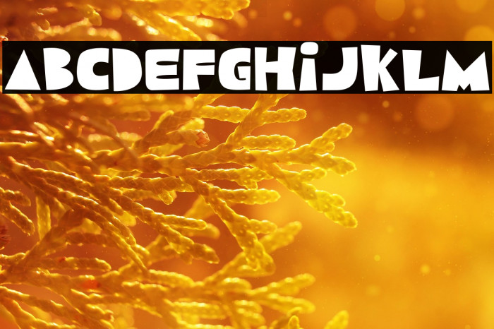 Melon Pudding Example 1