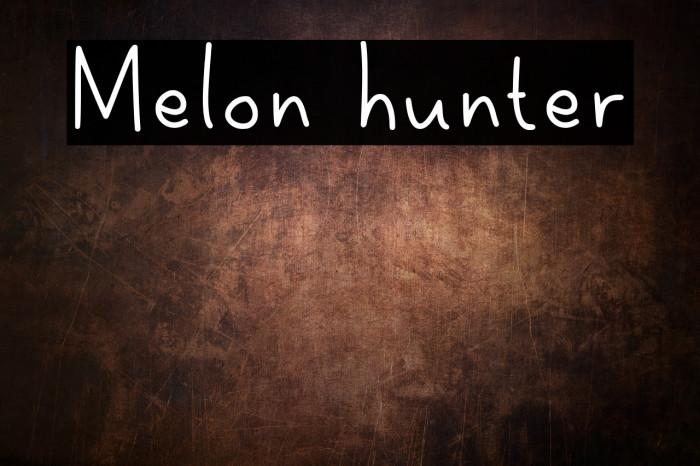 Melon hunter Font examples
