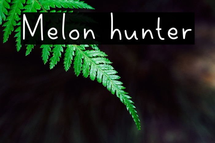 Melon hunter Font examples