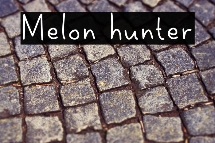 Melon hunter Font examples