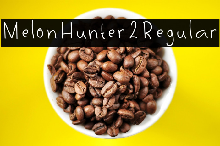 MelonHunter2Regular Example 1