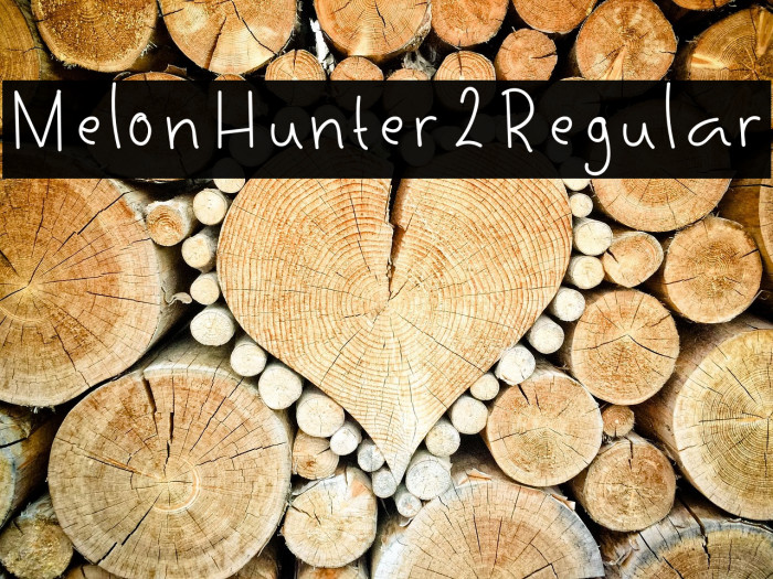 MelonHunter2Regular Example 3