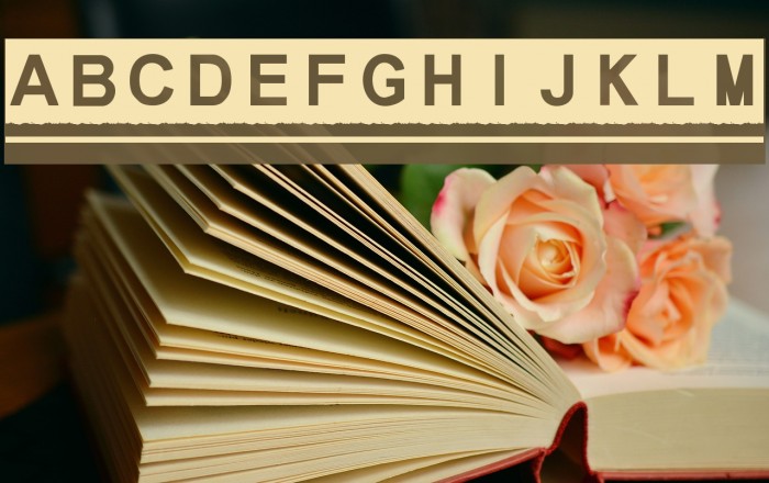 MelonSeedless Font examples