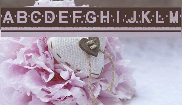 MelonSlices Example 1