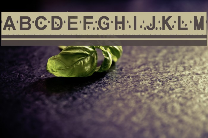 MelonSlices Example 2