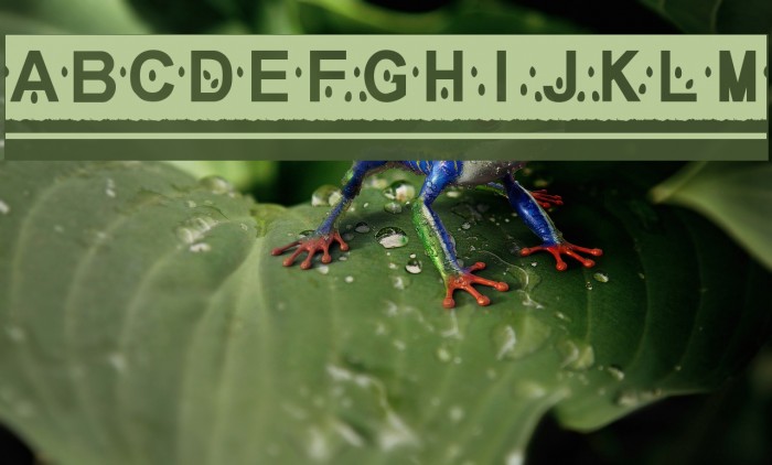 MelonSlices Example 3