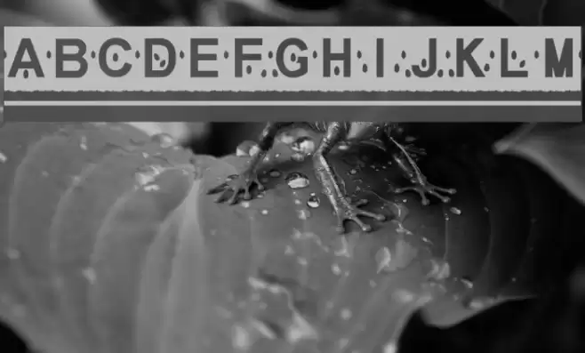 MelonSlices Font examples