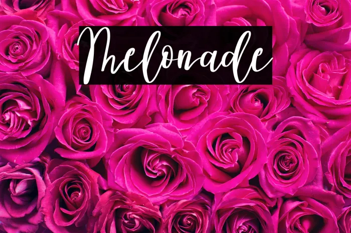 Melonade Example 1