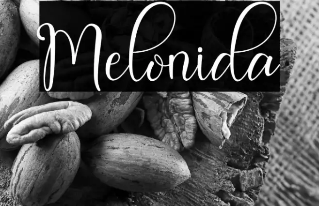 Melonida Example 1