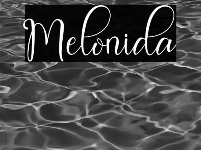 Melonida Example 2