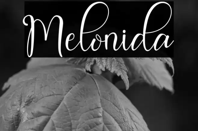 Melonida Example 3