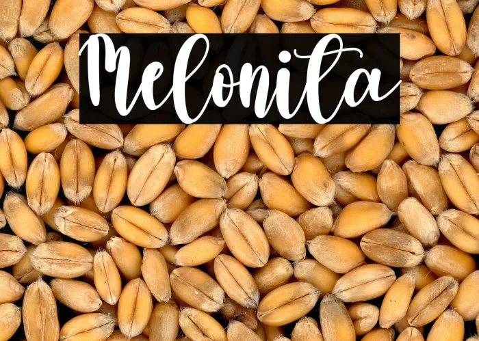 Melonita Example 1