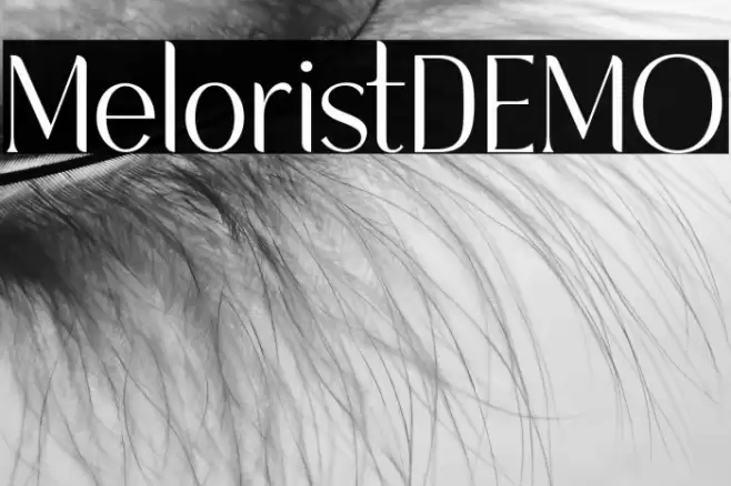 MeloristDEMO Font examples