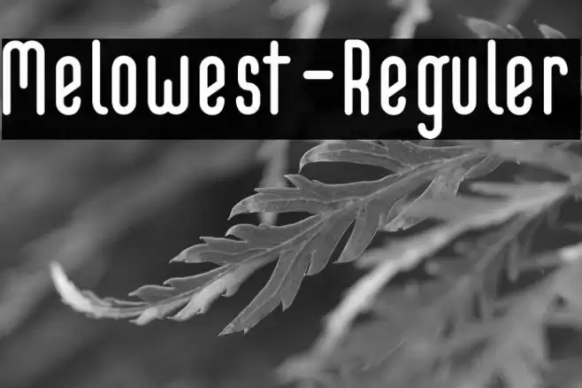 Melowest-Reguler Font examples