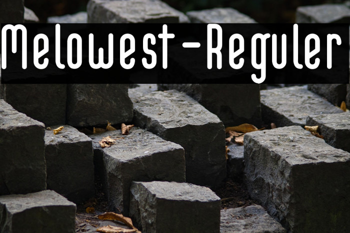 Melowest-Reguler Example 3