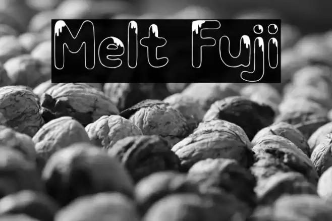 Melt Fuji Font examples