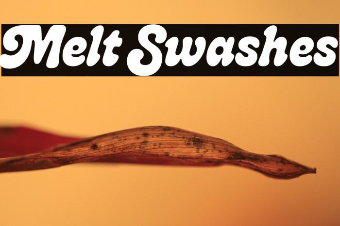 Melt Swashes Example 1