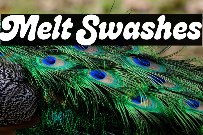 Melt Swashes Example 3