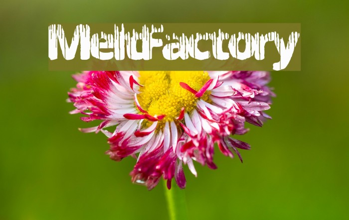 MeltFactory Font examples