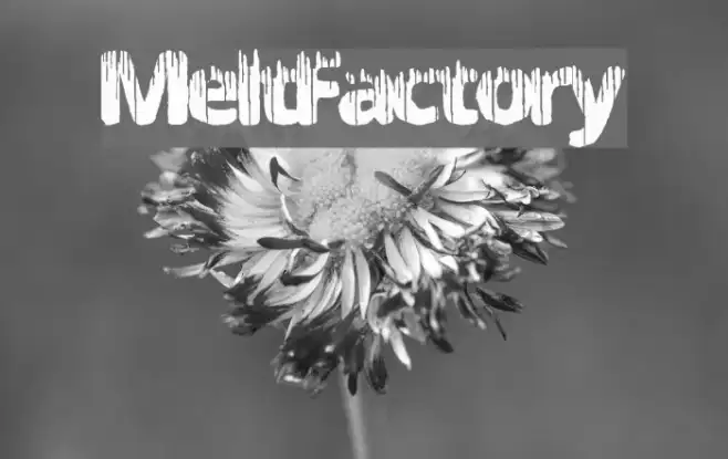MeltFactory Example 1