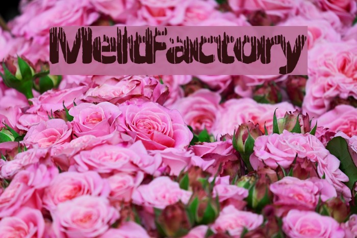 MeltFactory Font examples