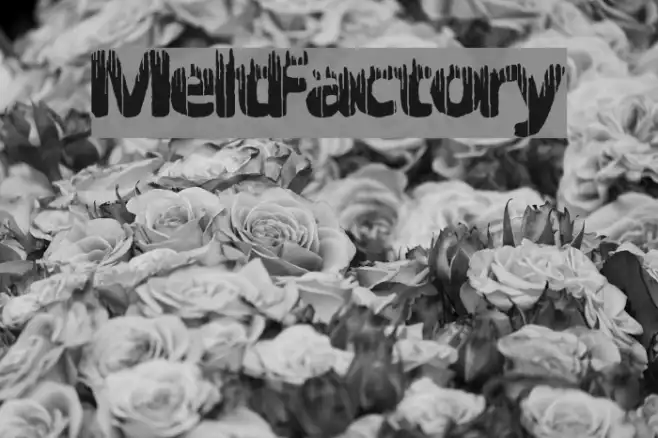MeltFactory Example 2