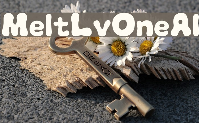 MeltLvOneAl Example 3