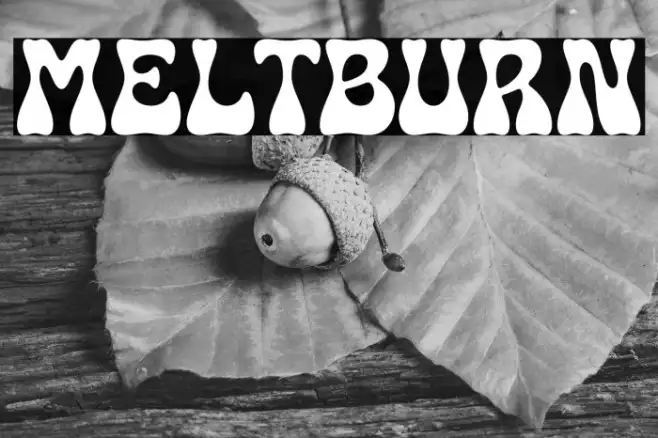 Meltburn Example 2