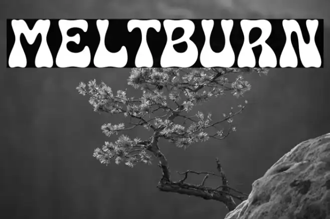 Meltburn Example 3