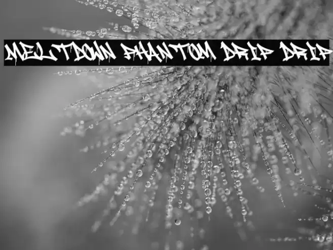 Meltdown Phantom Drip Drip Font examples