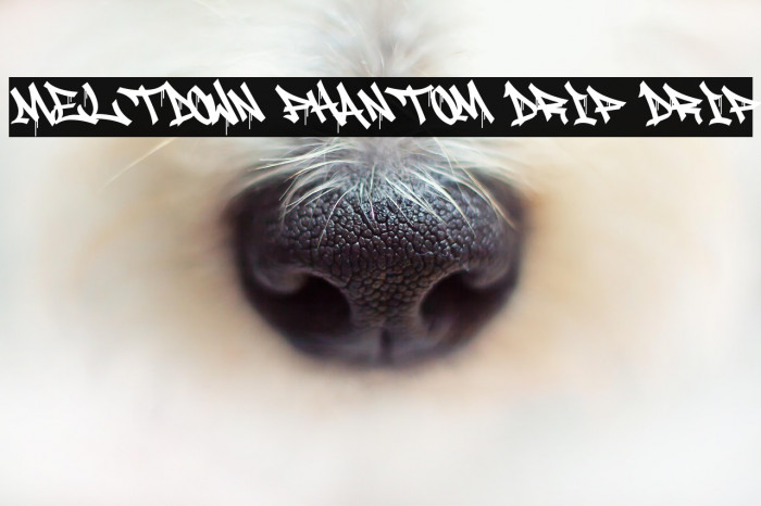 Meltdown Phantom Drip Drip Font examples