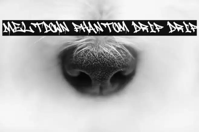 Meltdown Phantom Drip Drip Font examples