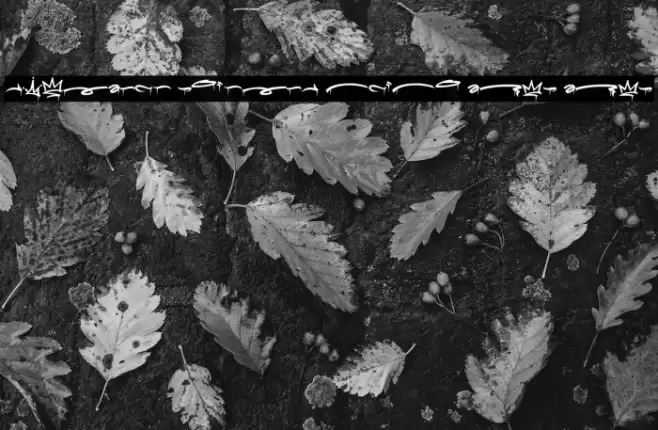 Meltdown Phantom Swash Drip Drip Schriftart examples