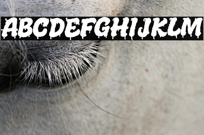 Melted Brain Shadow Demo Font examples