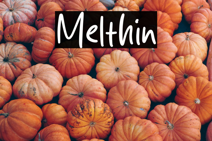 Melthin Example 3