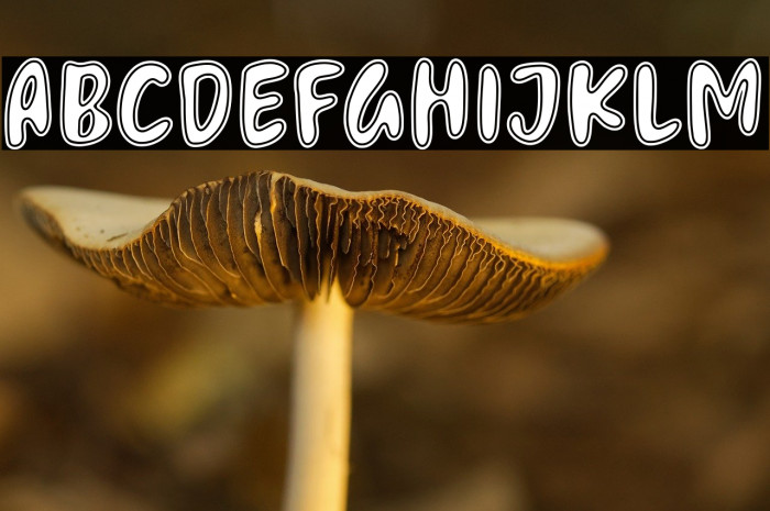 Melting Candle Example 3