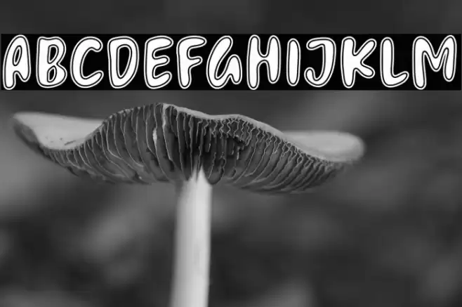 Melting Candle फ़ॉन्ट examples