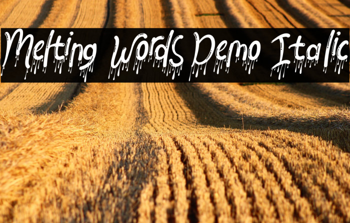 Melting Words Demo Italic Font examples