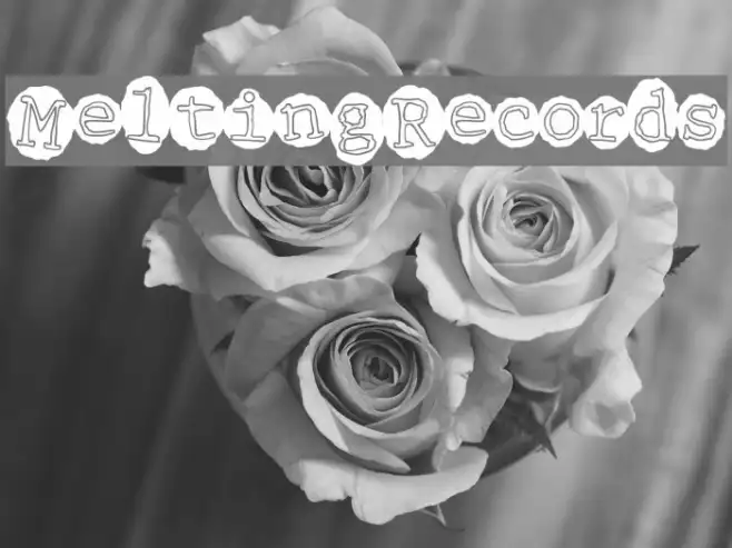 MeltingRecords Example 1