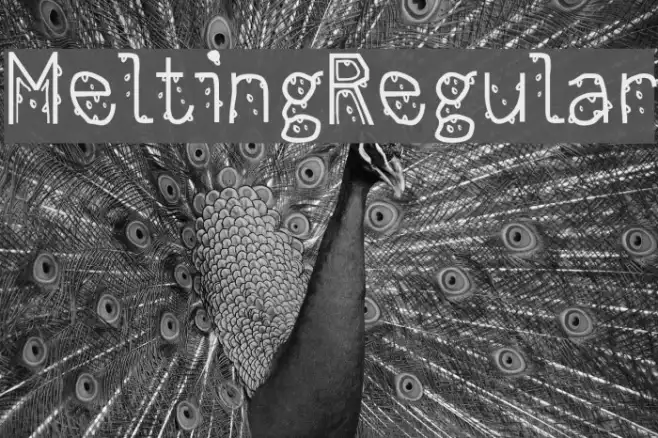 MeltingRegular Example 3